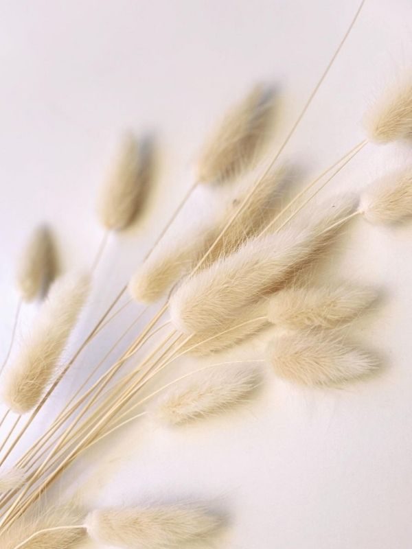 Bleached Bunny Tails (2)