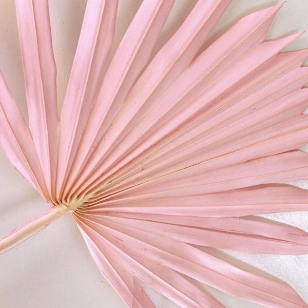 Pink Sun Cut Palms