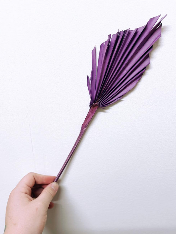 Purple Spear Pal,
