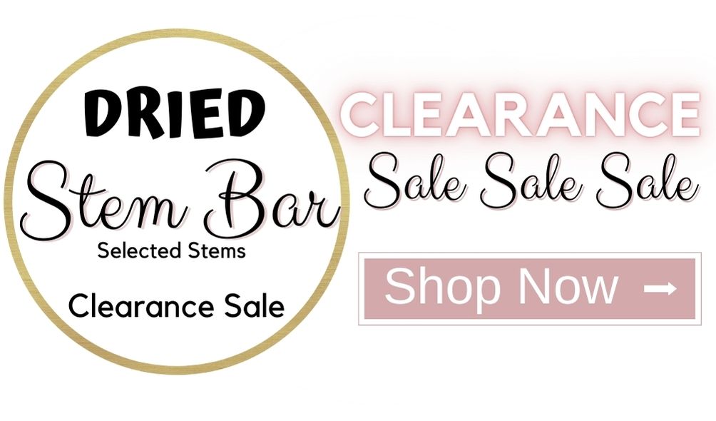 clearance sale stem bar feb 24